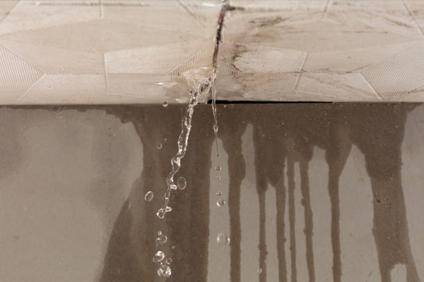 Professional Water Extraction technician working in Ada, MI